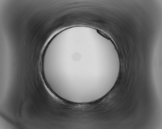 X0000086331531200704202031