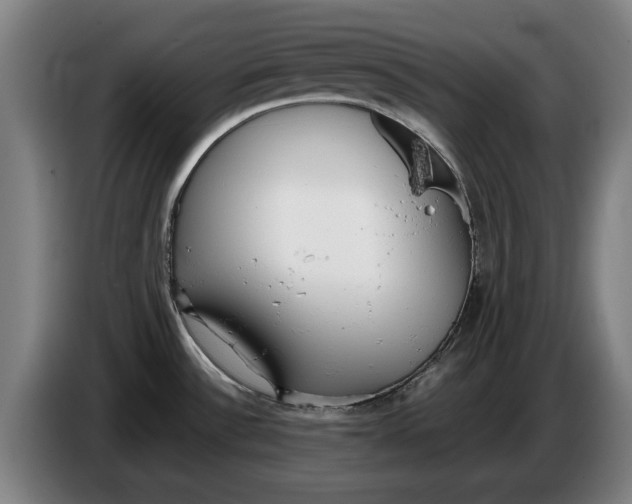 X0000086331532200704202031