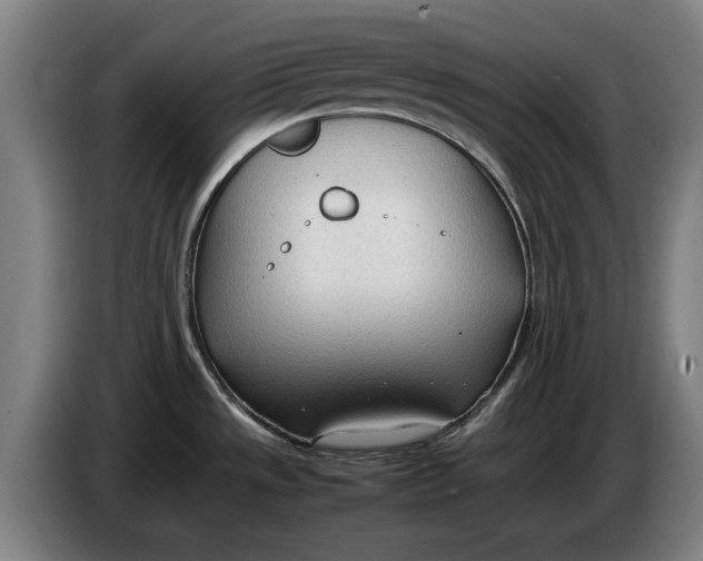 X0000086331533200704202031