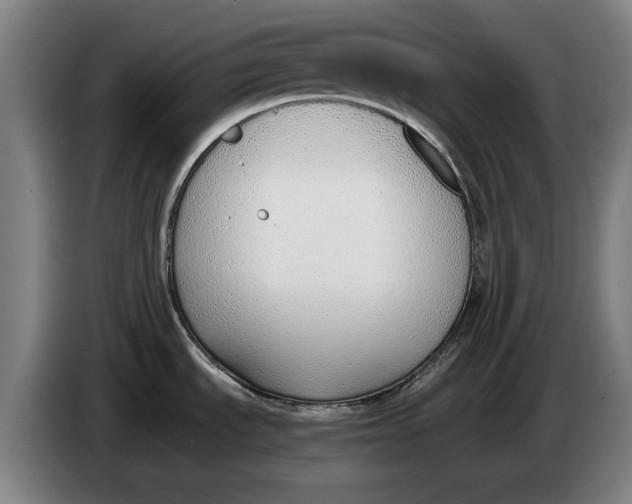 X0000086331535200704202031