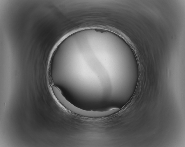 X0000086331536200704202031