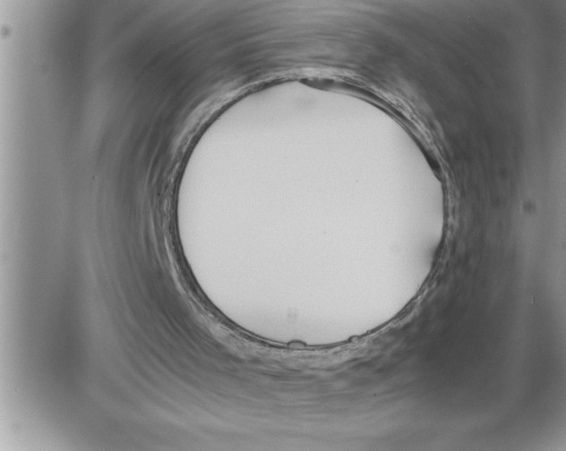 X0000086330001200704271954