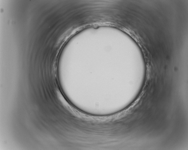 X0000086330002200704271954