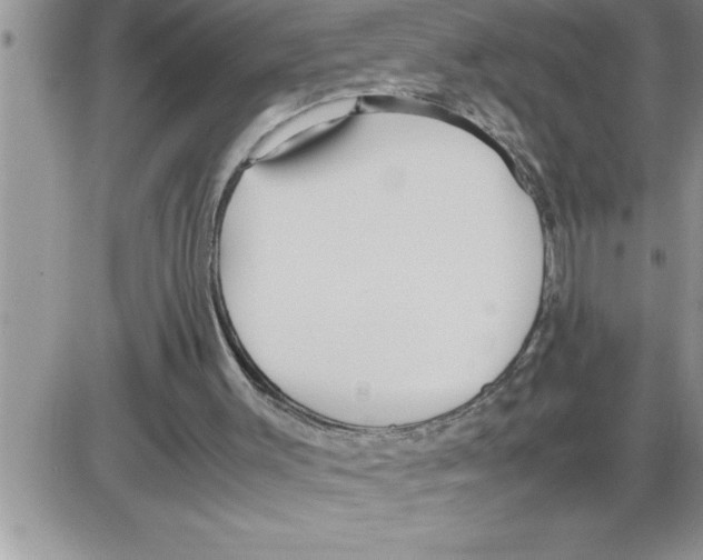 X0000086330003200704271954