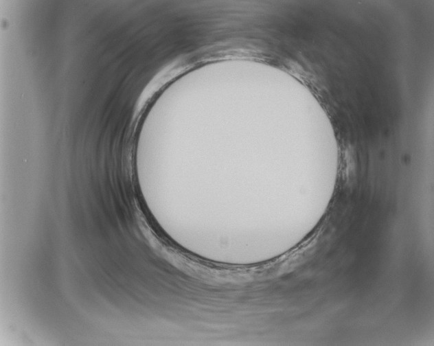 X0000086330004200704271954