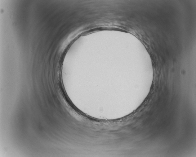 X0000086330005200704271954