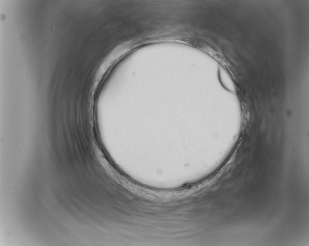 X0000086330006200704271954