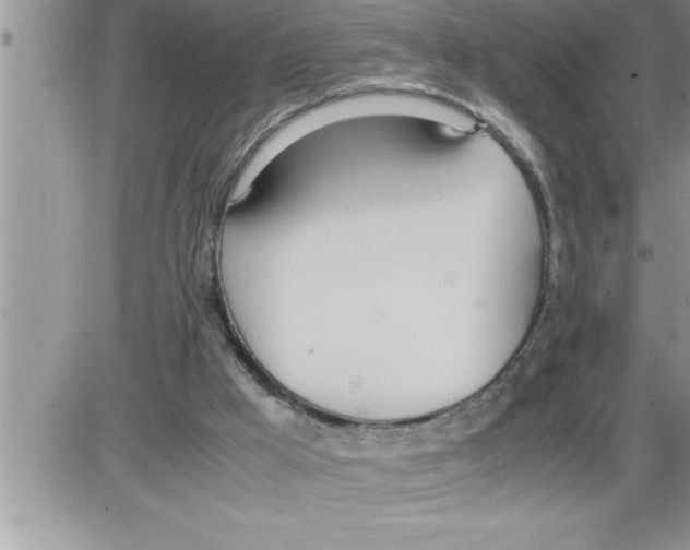 X0000086330009200704271954