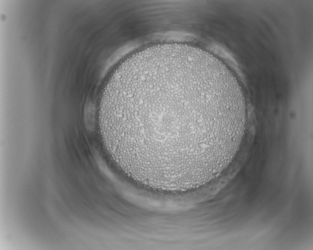 X0000086330012200704271954