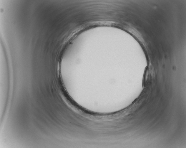 X0000086330013200704271953