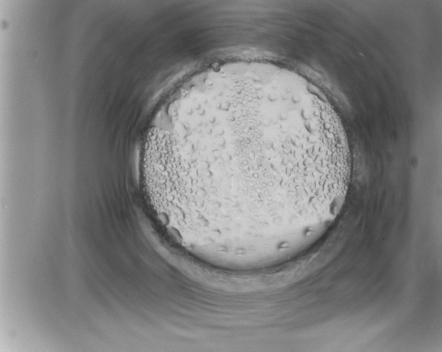 X0000086330014200704271953