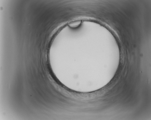 X0000086330015200704271953