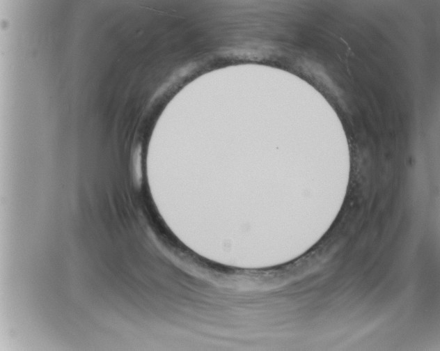 X0000086330020200704271953