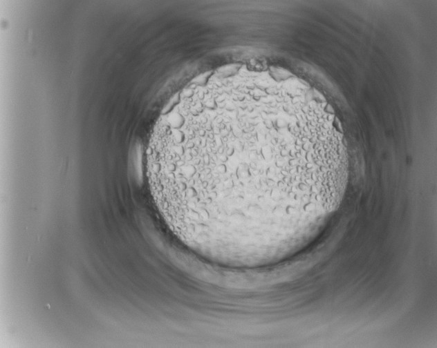 X0000086330022200704271953