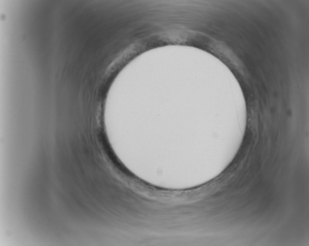 X0000086330023200704271953