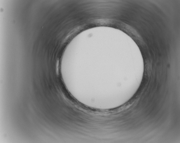 X0000086330024200704271953