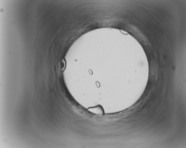 X0000086330025200704271953