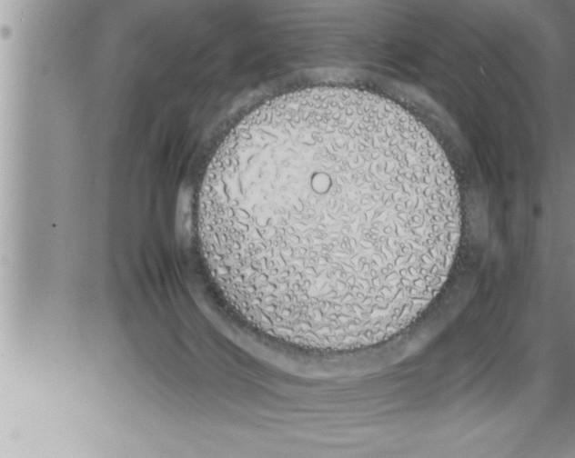 X0000086330028200704271953