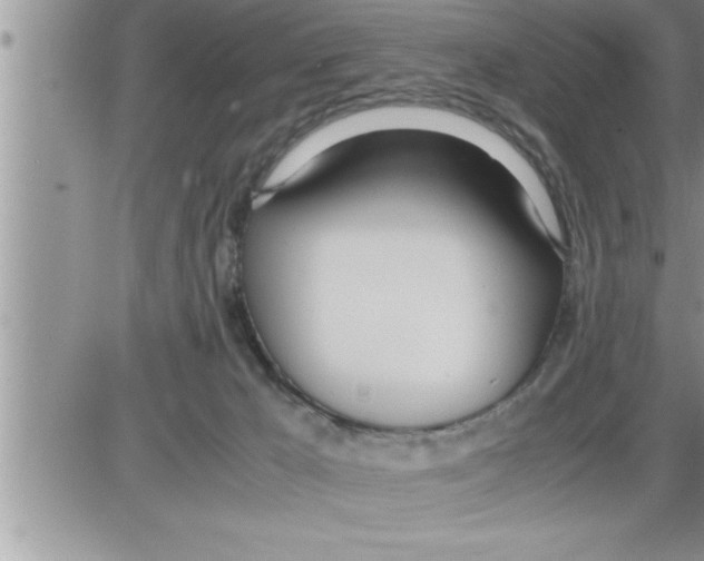 X0000086330029200704271953