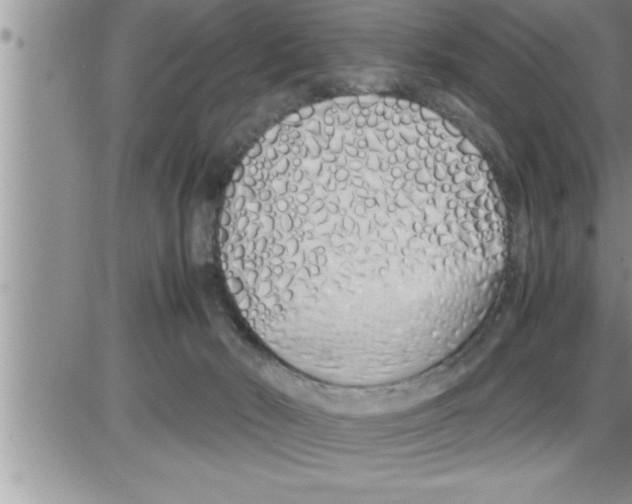 X0000086330030200704271953