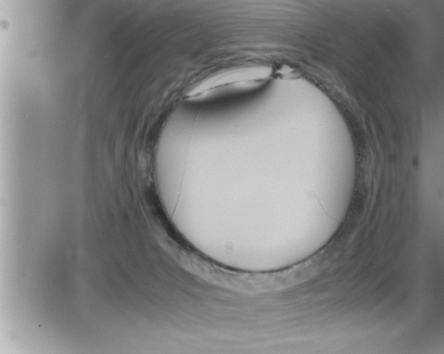 X0000086330031200704271953