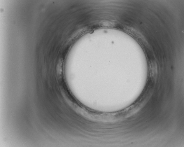 X0000086330032200704271953