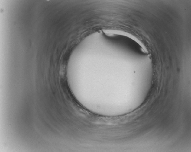 X0000086330033200704271953