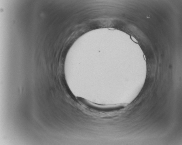 X0000086330035200704271953