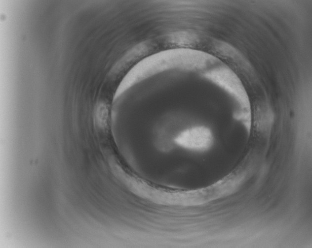 X0000086330036200704271953