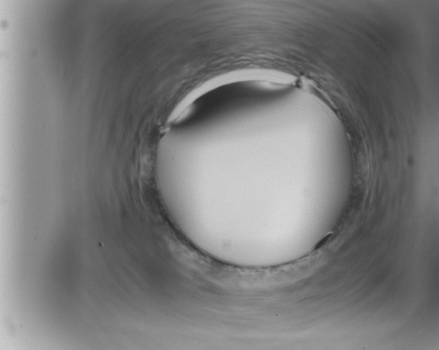 X0000086330037200704271953