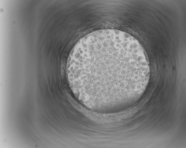 X0000086330038200704271953