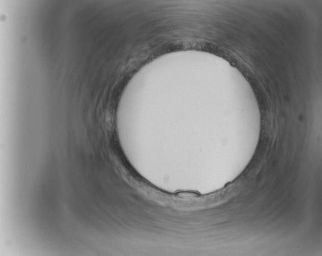 X0000086330039200704271953