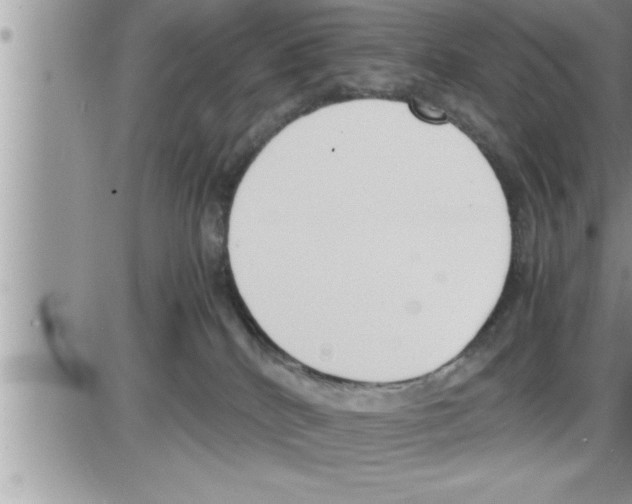 X0000086330040200704271953