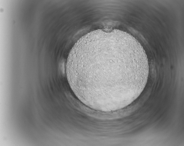 X0000086330042200704271953