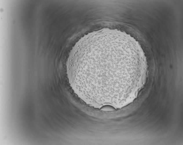 X0000086330043200704271953