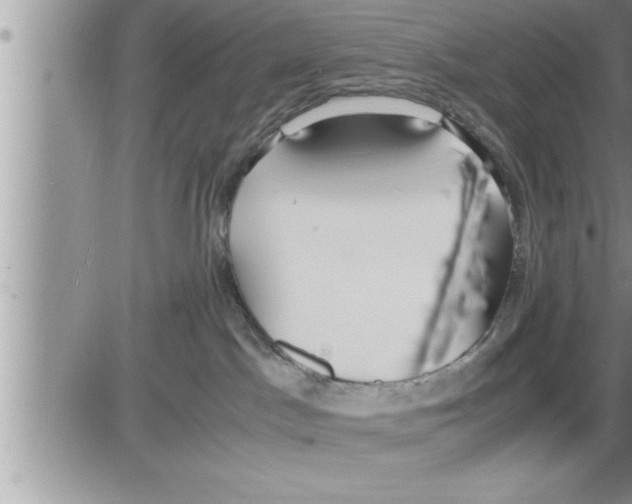 X0000086330045200704271953