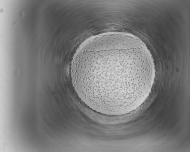 X0000086330047200704271953