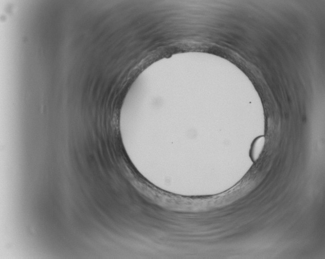 X0000086330048200704271953