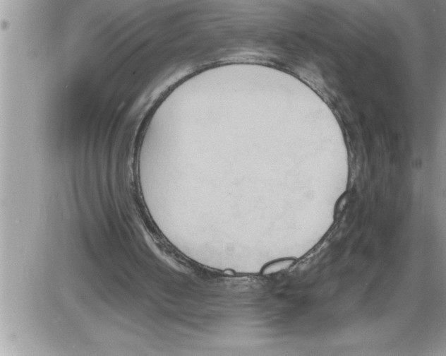 X0000086330050200704271952