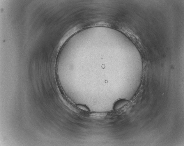 X0000086330051200704271952