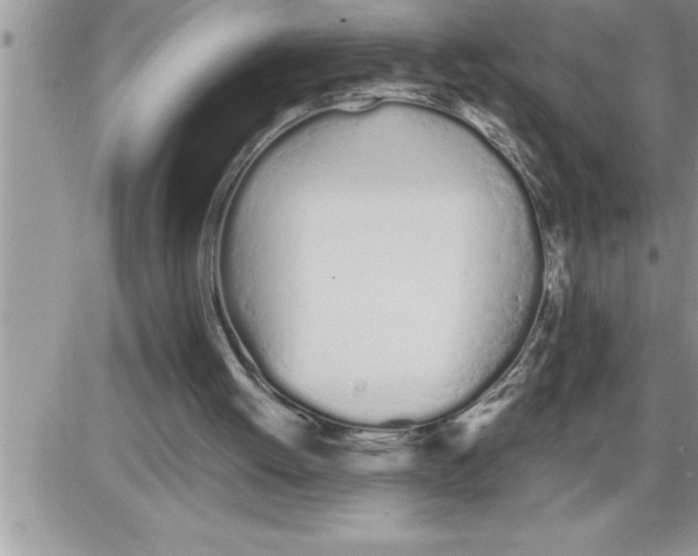 X0000086330052200704271952