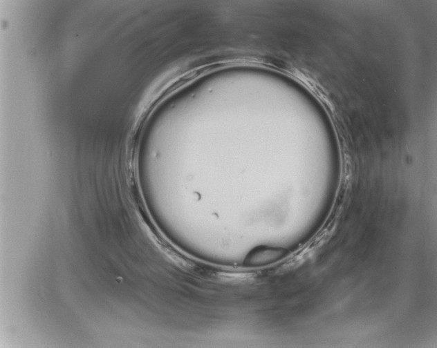 X0000086330053200704271952