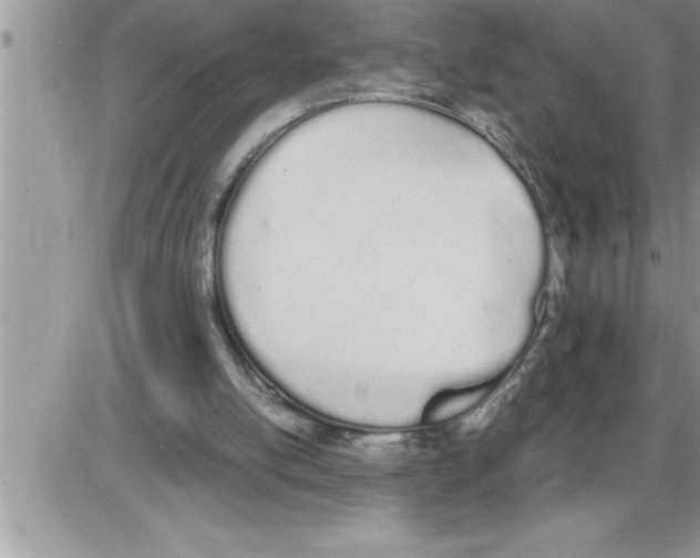 X0000086330054200704271952