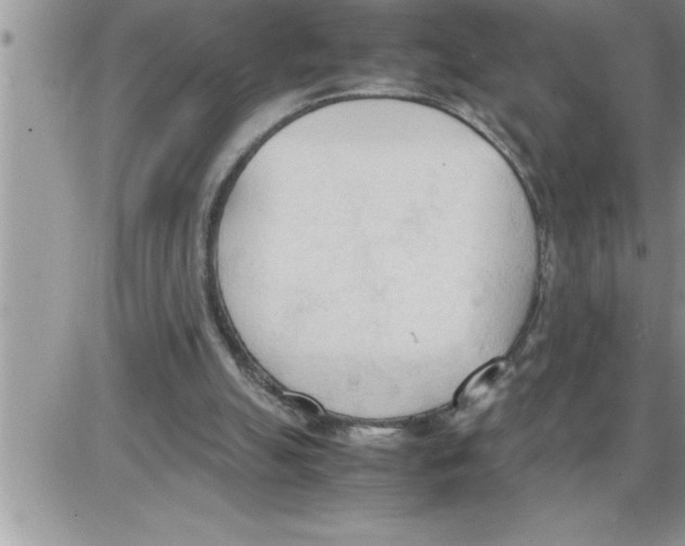 X0000086330055200704271952