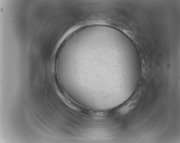 X0000086330056200704271952