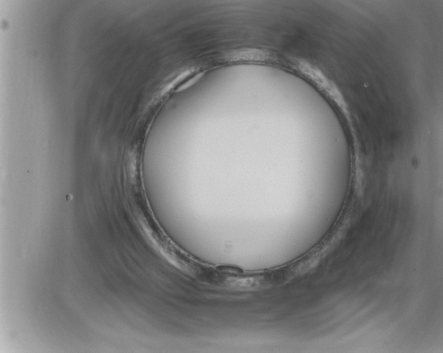 X0000086330057200704271952