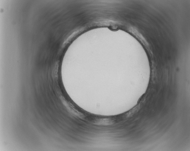 X0000086330058200704271952