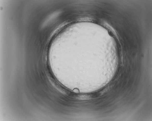 X0000086330059200704271952