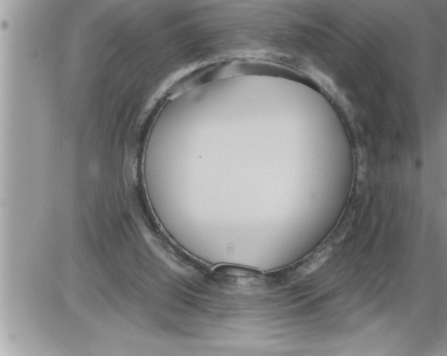 X0000086330060200704271952