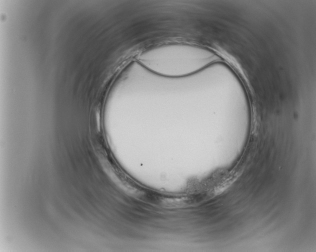 X0000086330061200704271952